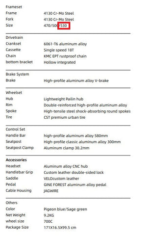 EIRA Trendy Urban Commuting Retro Steel Frame Bicycle Single-speed