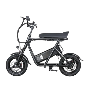 EMOVE RoadRunner SE Ultra Light-Weight Seated Electric Scooter Bike