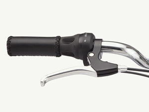 Schwinn Wayfarer 700c